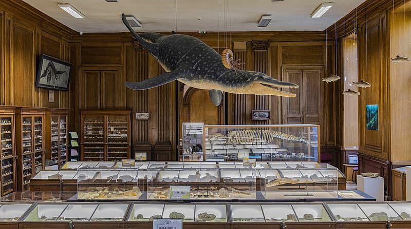 Muséum des sciences naturelles