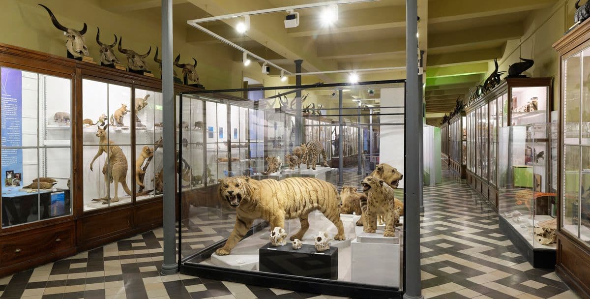 Muséum d'histoire naturelle et de préhistoire