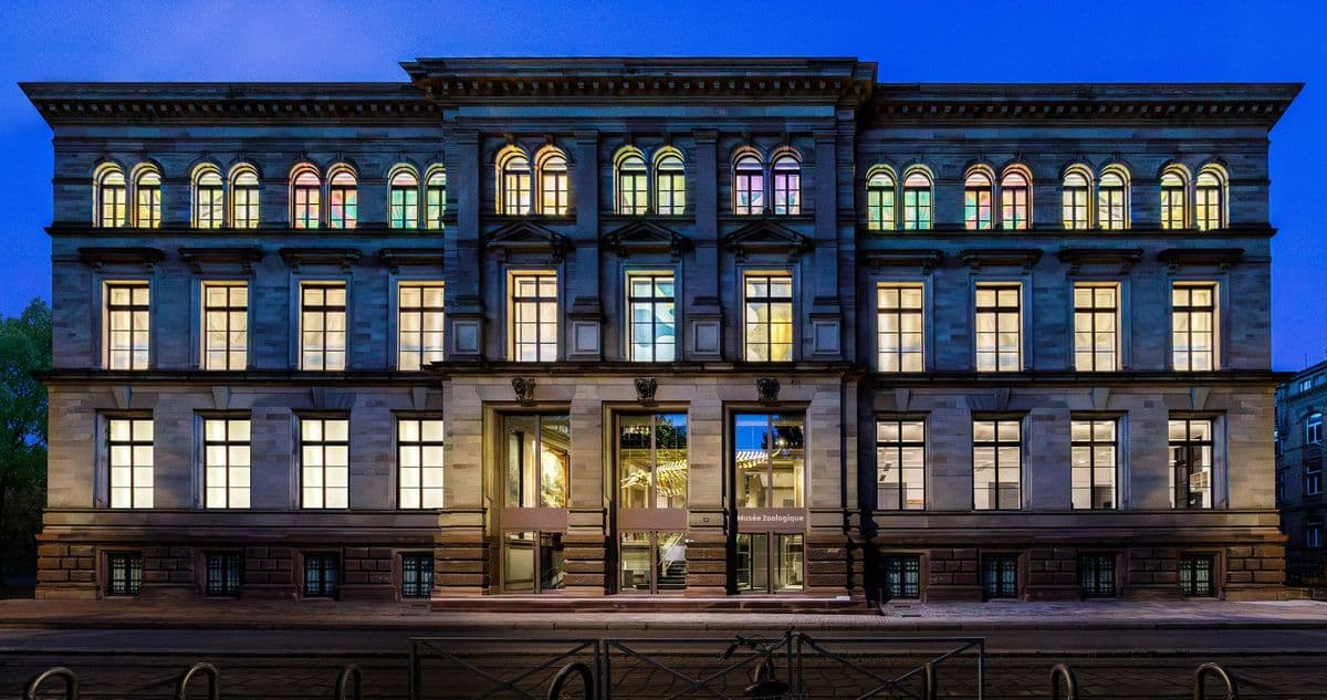 Musée zoologique de l'université Louis Pasteur et de la ville de Strasbourg