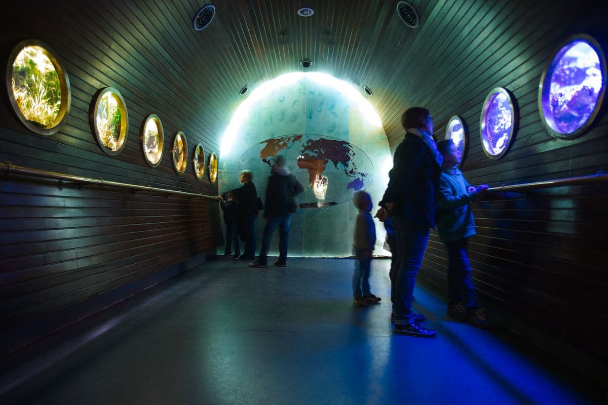 Muséum-Aquarium de Nancy
