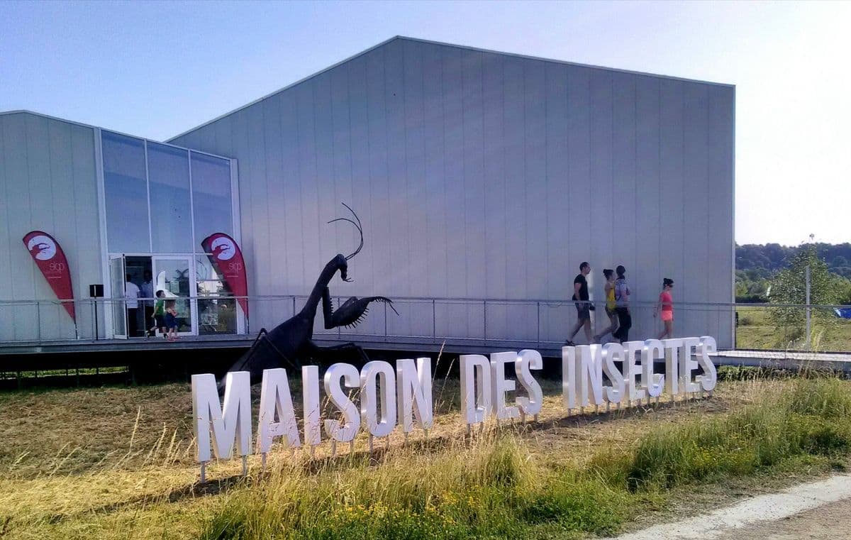 La Maison des insectes