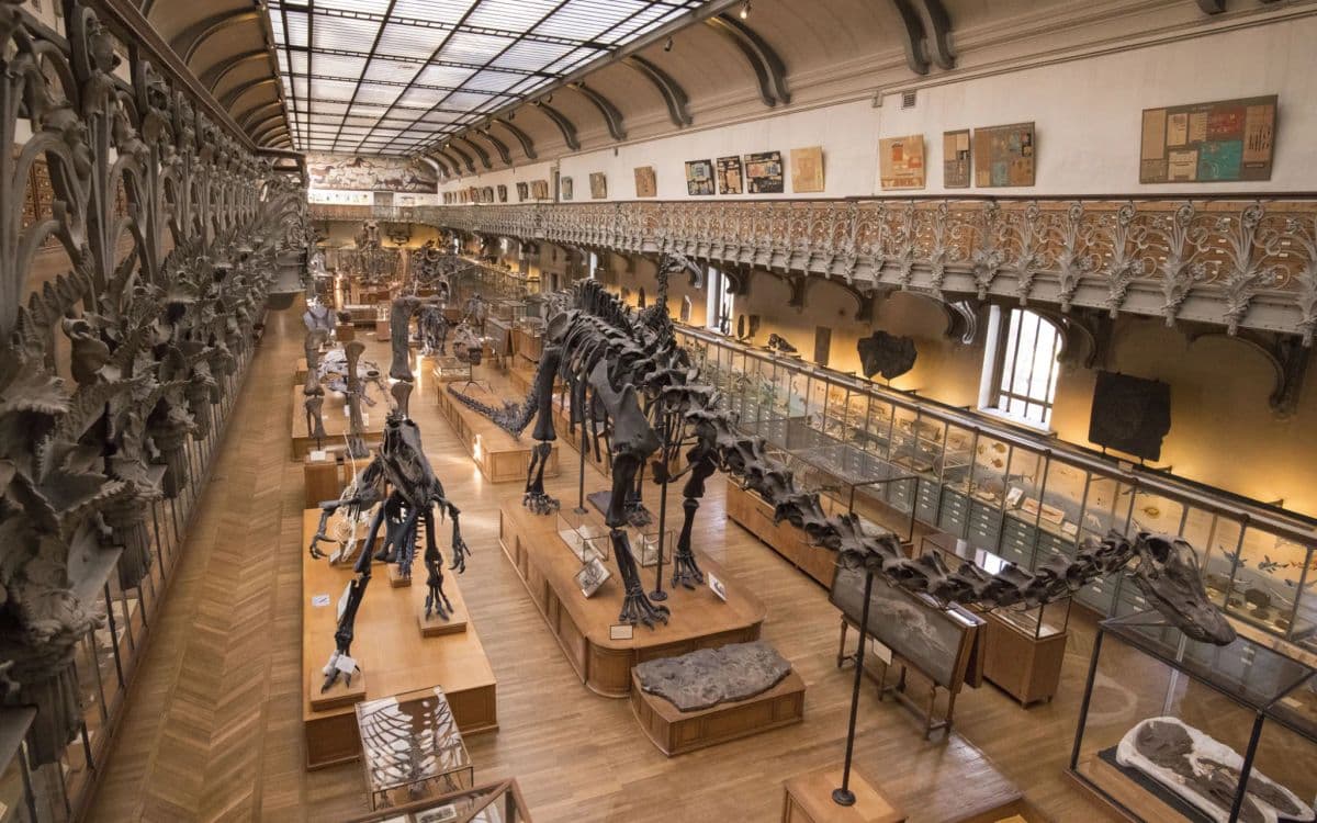 Galerie de Paléontologie et d’Anatomie comparée