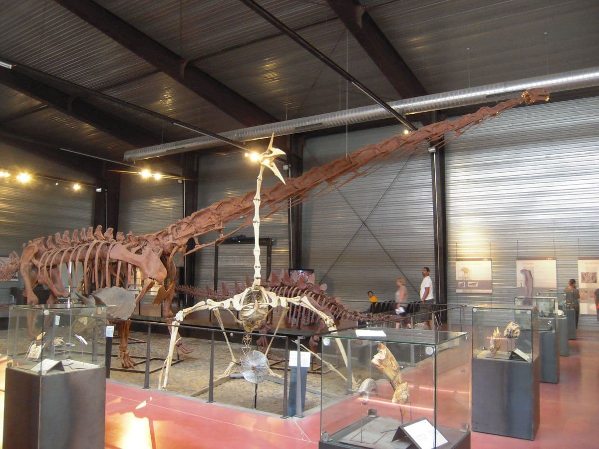 Musée des Dinosaures d'Espéraza