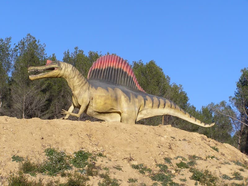 Musée des Dinosaures