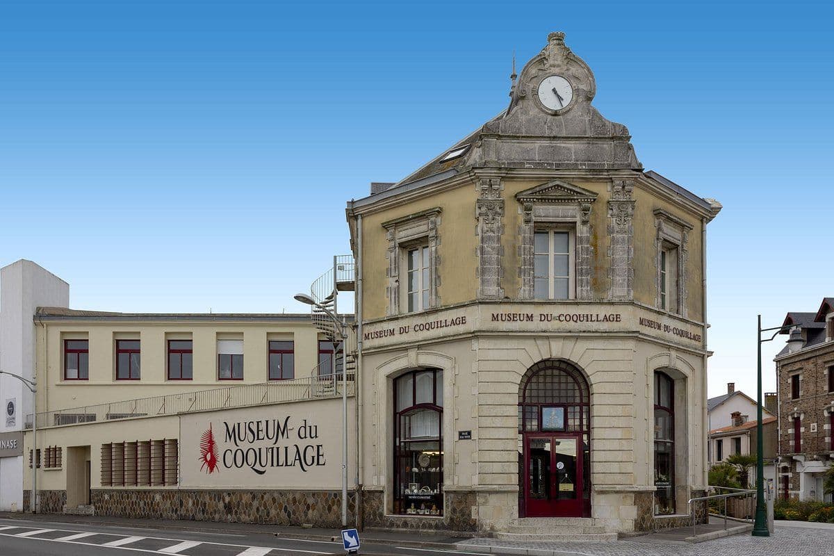 Muséum du Coquillage