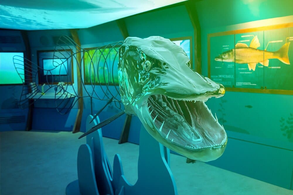 Musée Aqualis