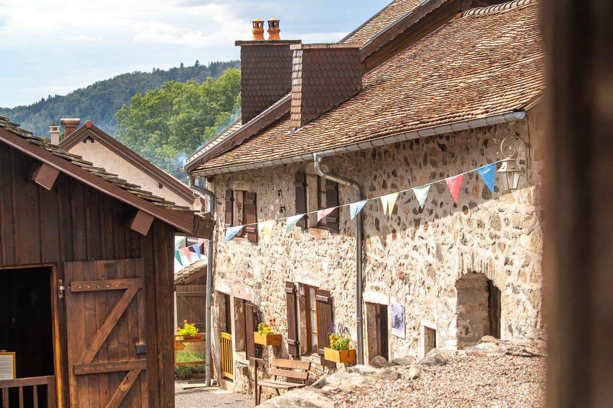Musée Départemental Demard de la Montagne