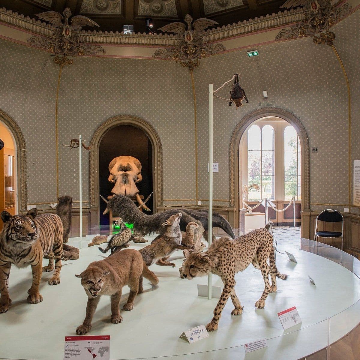 Muséum des sciences naturelles