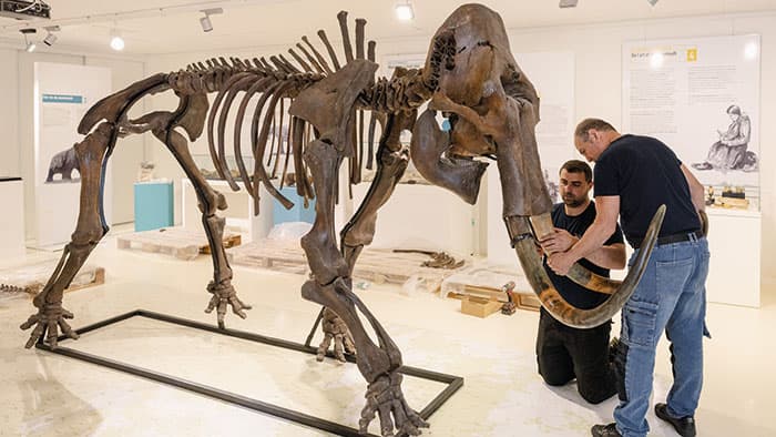 Musée de l'Aurignacien : la préhistoire en Haute-Garonne