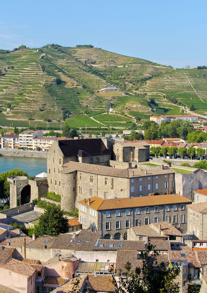 Musée du Rhône